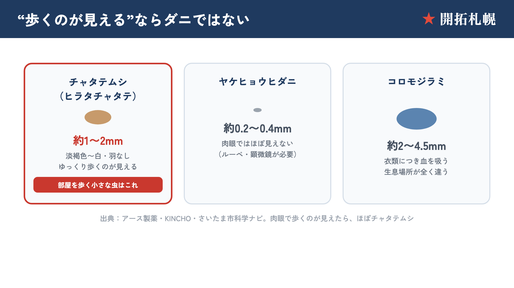 チャタテムシ・ダニ・コロモジラミの大きさと見分け方の比較図。肉眼で歩くのが見えたらほぼチャタテムシ