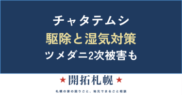 チャタテムシの駆除と対策｜大量発生の原因（湿気・カビ）とツメダニ2次被害の防ぎ方
