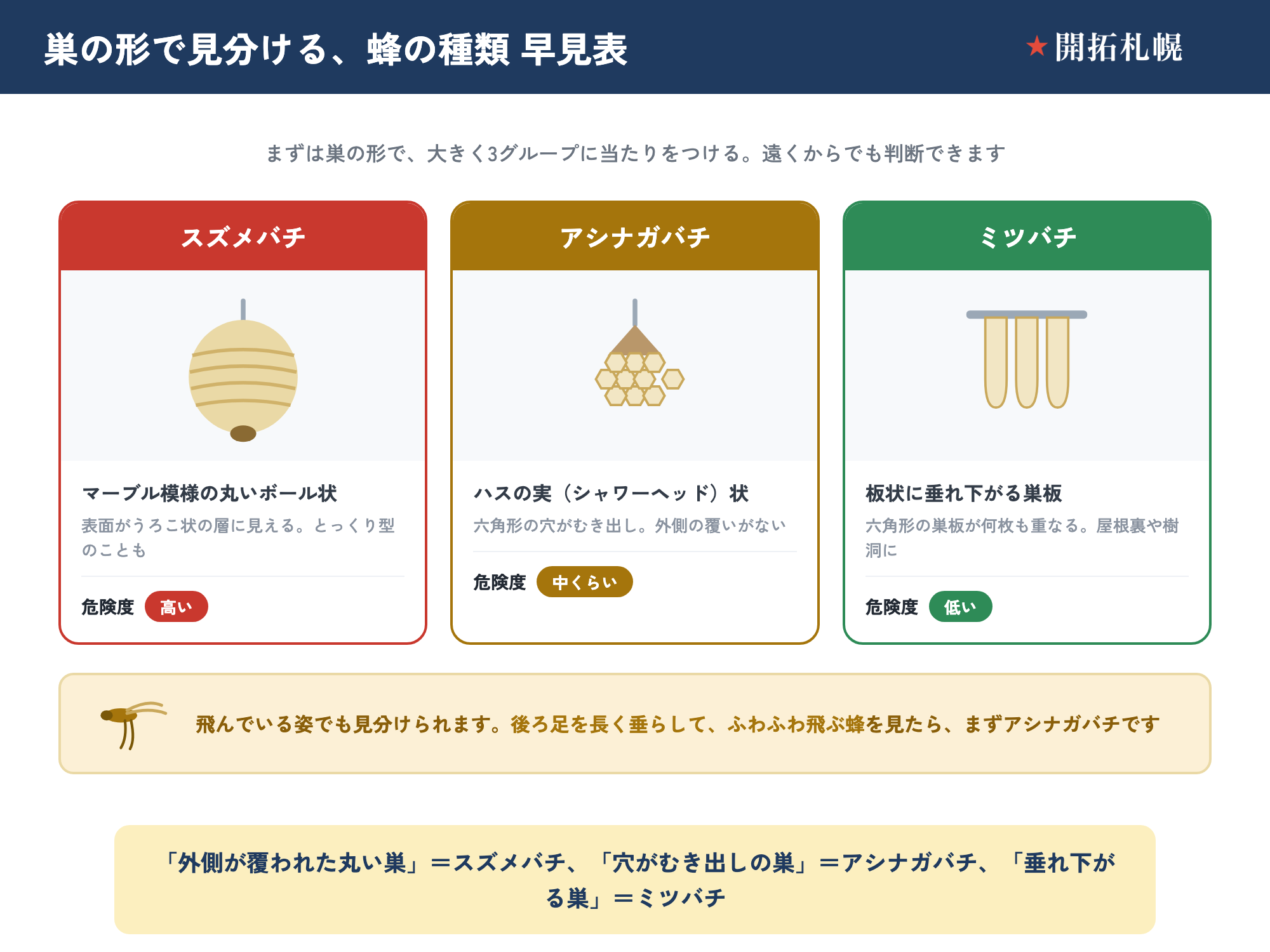 巣の形で蜂の種類を見分ける早見表。マーブル模様の丸いボール状の巣はスズメバチ（危険度 高い）、ハスの実（シャワーヘッド）状で六角形の穴がむき出しの巣はアシナガバチ（危険度 中くらい）、板状に垂れ下がる巣板はミツバチ（危険度 低い）。後ろ足を長く垂らしてふわふわ飛ぶ蜂はアシナガバチ。