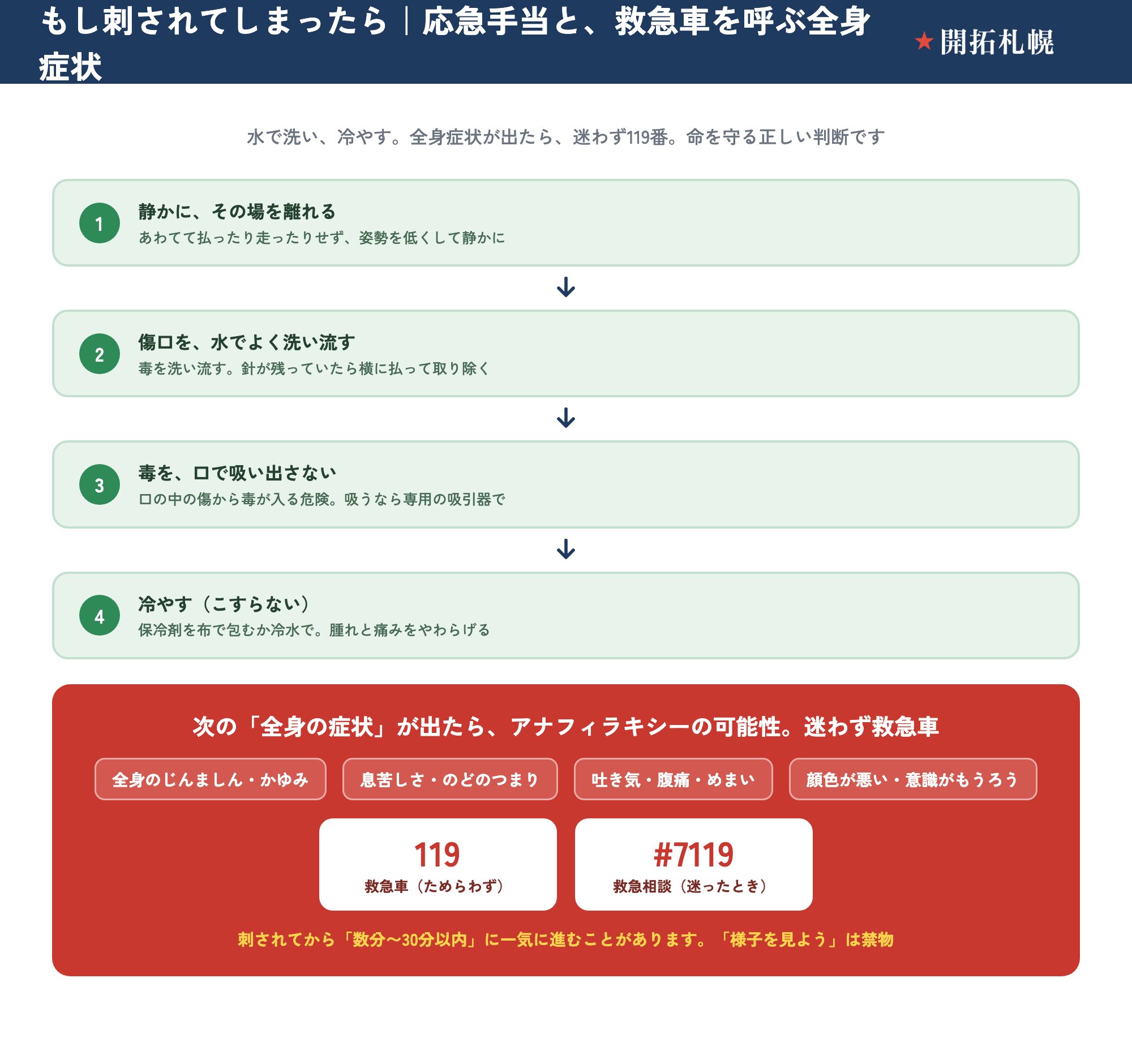 蜂に刺されたときの応急手当と救急対応。①静かにその場を離れる、②傷口を水でよく洗い流す、③毒を口で吸い出さない、④冷やす（こすらない）。全身のじんましん・息苦しさ・吐き気やめまい・意識がもうろうなどの全身症状が出たらアナフィラキシーの可能性があり、刺されてから数分〜30分以内に進むため迷わず救急車119番（迷ったときは救急相談#7119）を呼ぶことを示す図。