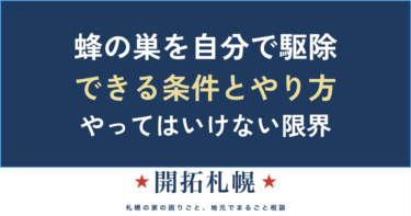 蜂の巣を自分で駆除する方法と、やってはいけない限界【安全判定つき】