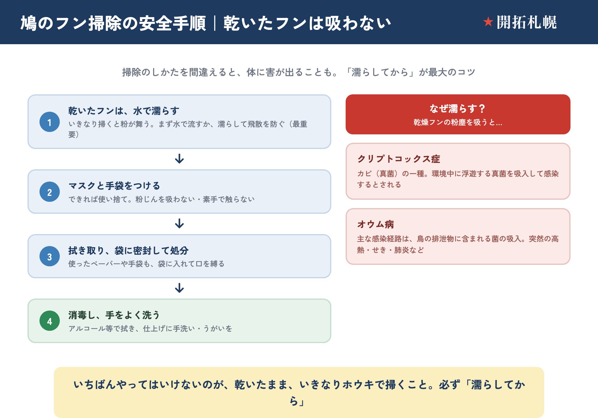 鳩のフンを安全に掃除する手順と健康リスクの図。手順は①乾いたフンを水で濡らす（最重要）、②マスクと手袋をつける、③拭き取り袋に密封して処分、④消毒し手をよく洗う。乾燥したフンの粉塵を吸うとクリプトコックス症（真菌の吸入で感染）やオウム病（鳥の排泄物の菌の吸入で高熱・肺炎など）の恐れがあるため、乾いたまま掃かず必ず濡らしてから掃除する。