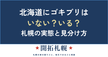北海道にゴキブリはいない？札幌の実態｜出る種類・場所・見分け方