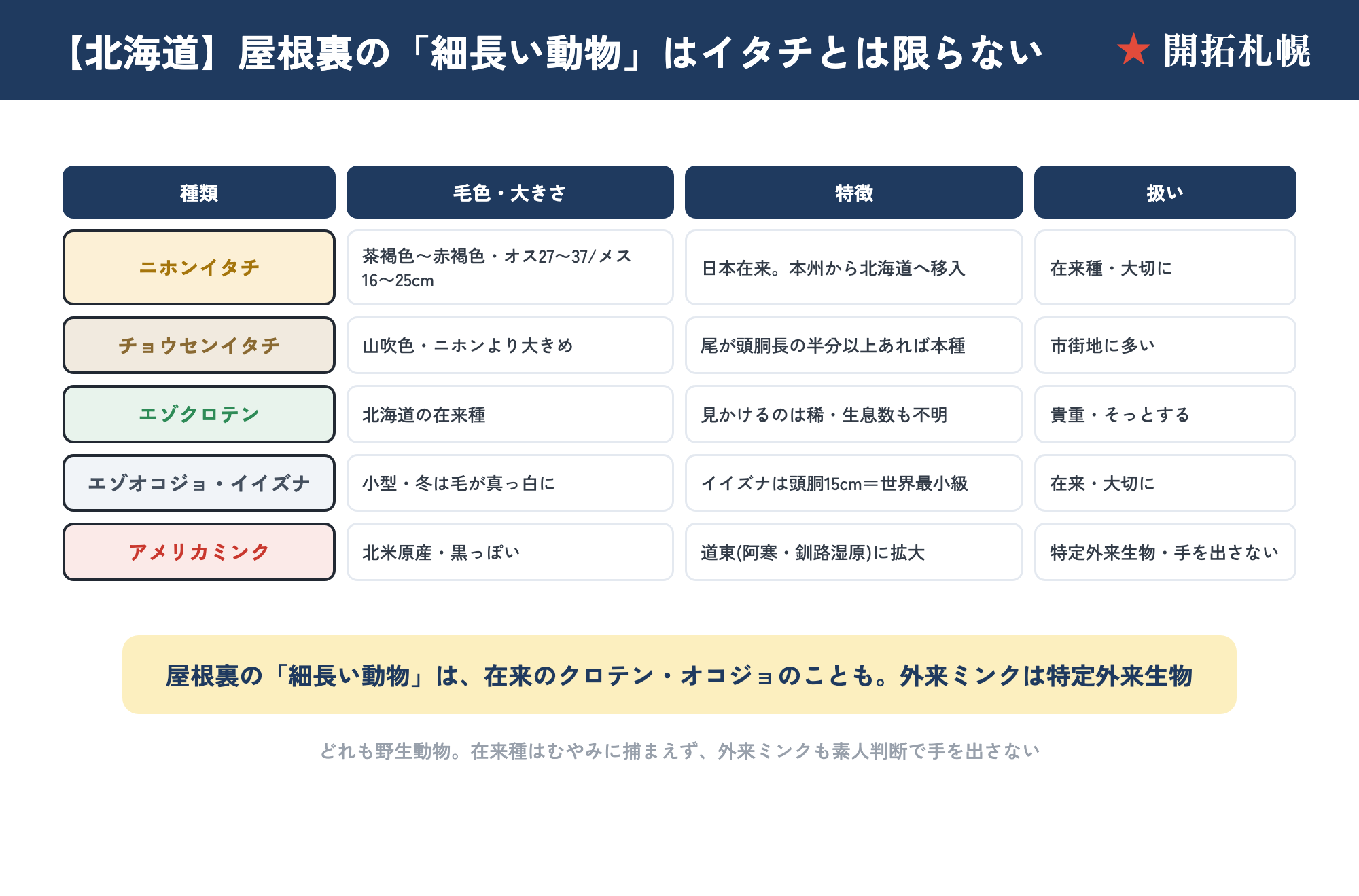 北海道のイタチ類見分け図。ニホンイタチ・チョウセンイタチ・エゾクロテン・エゾオコジョ・キタイイズナ・外来アメリカミンクの大きさ・毛色・分布の違いをまとめた図