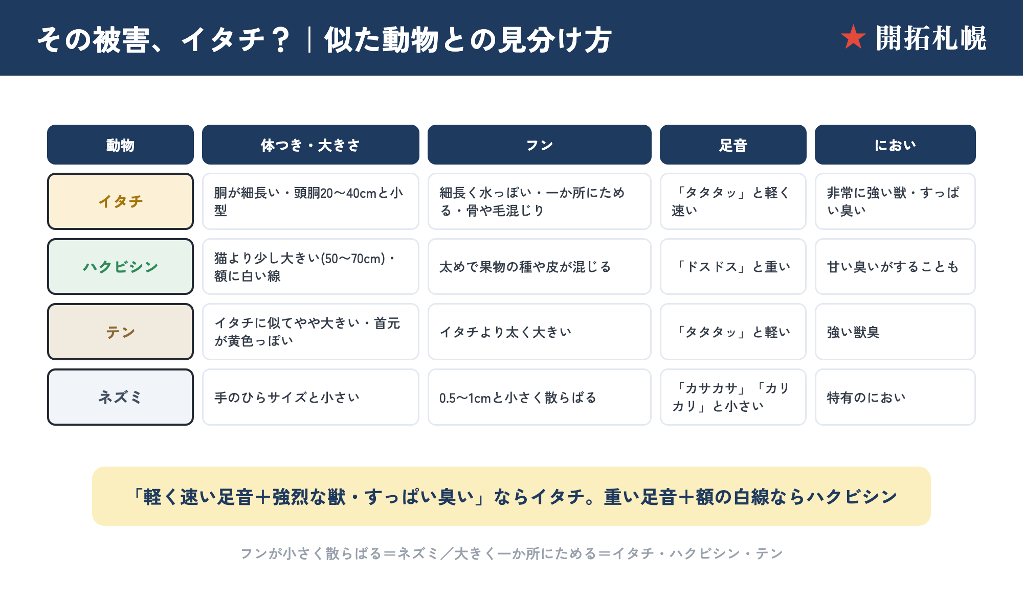 イタチとハクビシン・テン・ネズミの見分け比較表。体長・顔の模様・フン・足音・活動時間の違いをまとめた図