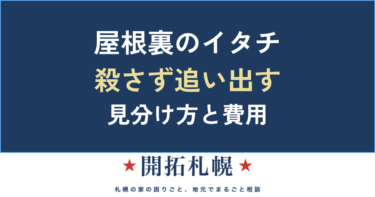 イタチの駆除・追い出し方｜屋根裏の物音とフンの正体、鳥獣保護法と費用相場【札幌・北海道】