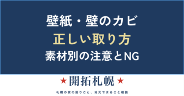 壁紙・壁のカビの取り方｜壁を傷めない手順・素材別の注意・再発防止【中立解説】