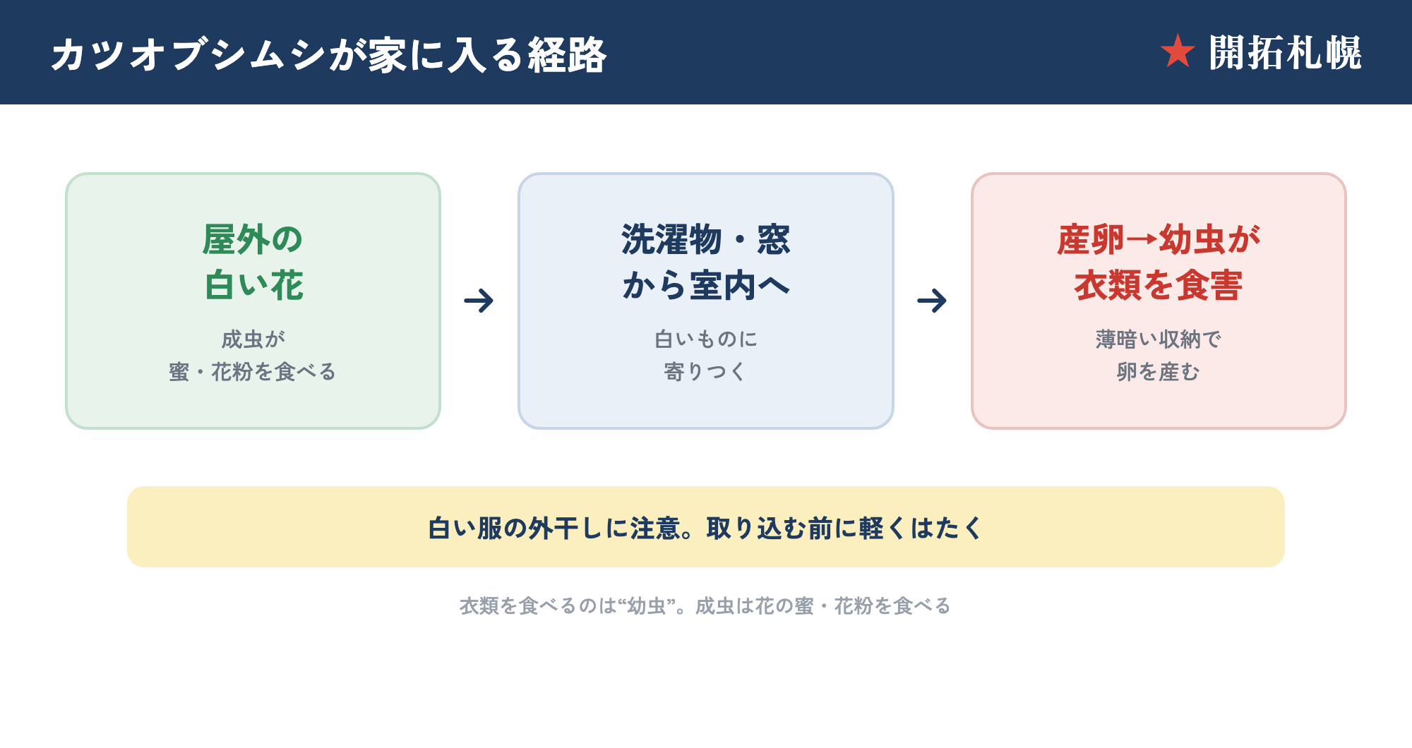 カツオブシムシの侵入経路（白い花→洗濯物→室内→幼虫が衣類を食害）