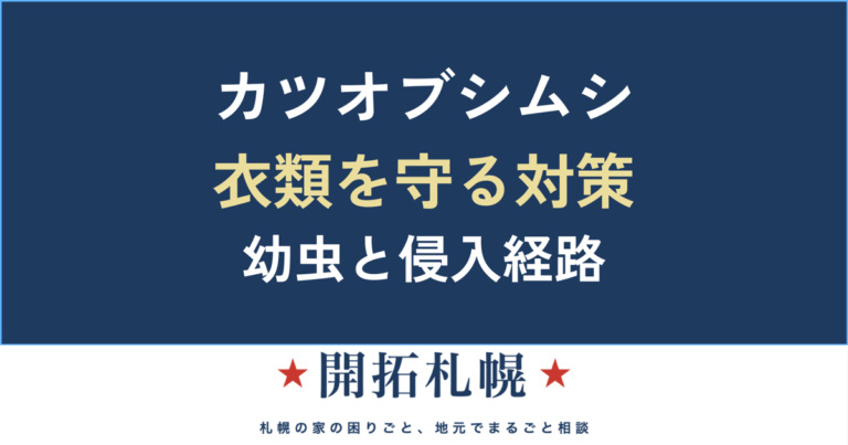 カツオブシムシの駆除と衣類対策