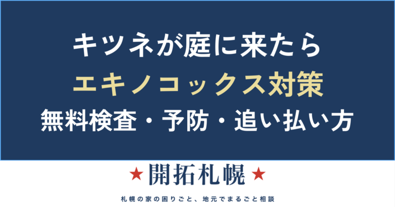 札幌のキツネ対策｜エキノコックスの症状・予防・区の無料検査