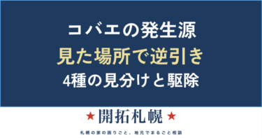 コバエの発生源がわからない…見た場所でわかる4種の見分けと駆除【卵・大量発生】