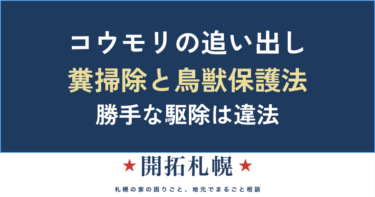 コウモリの追い出し方と糞の掃除の仕方｜勝手な駆除は違法（鳥獣保護法）＋再侵入を防ぐ方法