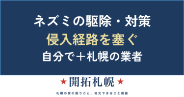 ネズミの駆除・追い出し方｜自分でできる侵入経路の塞ぎ方と、業者に頼む見極め【札幌】