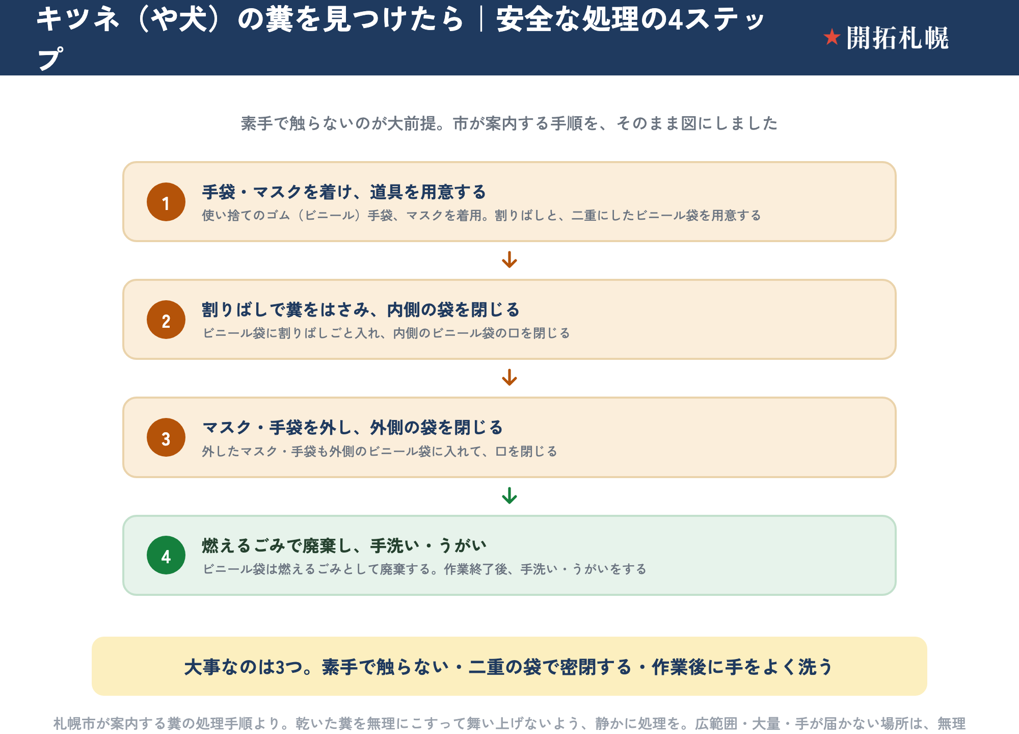 キツネ（や犬）の糞を安全に処理する4ステップの図。素手で触らないのが大前提。①使い捨てのゴム（ビニール）手袋とマスクを着用し、割りばしと二重にしたビニール袋を用意する。②割りばしで糞をはさみ、ビニール袋に割りばしごと入れて、内側のビニール袋の口を閉じる。③マスク・手袋をはずし、外側のビニール袋に入れて口を閉じる。④ビニール袋は燃えるごみとして廃棄し、作業終了後に手洗い・うがいをする。大事なのは、素手で触らない・二重の袋で密閉する・作業後に手をよく洗う、の3つ。出典は札幌市が案内する糞の処理手順で、乾いた糞を無理にこすって舞い上げないよう静かに処理し、広範囲・大量・手が届かない場所は無理をせず専門に任せる。