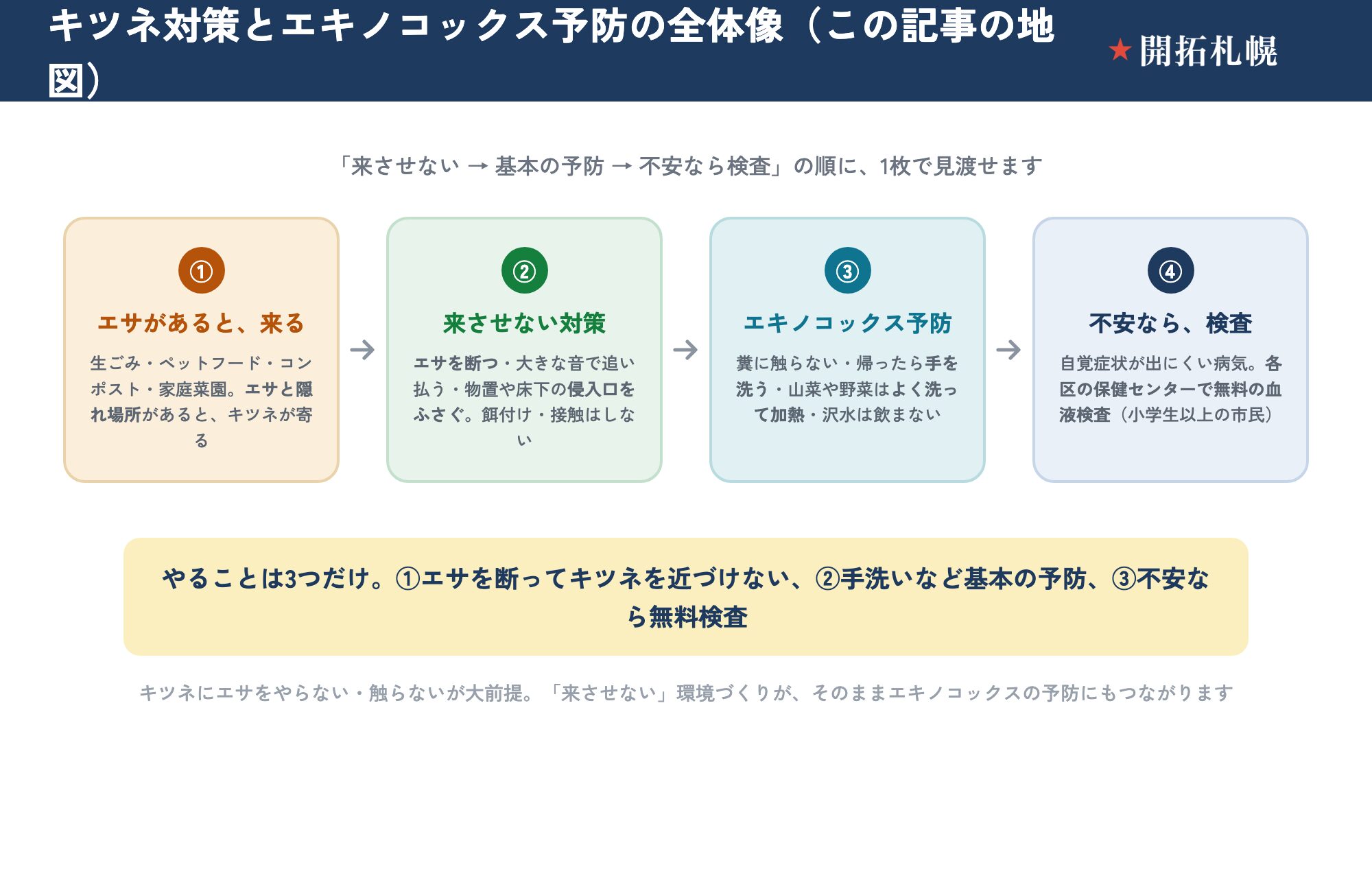 札幌のキツネ対策とエキノコックス予防の全体像を示したフロー図。①エサ（生ごみ・ペットフード・コンポスト・家庭菜園）と隠れ場所があるとキツネが来る。②来させない対策として、エサを断つ・大きな音で追い払う・物置や床下の侵入口をふさぐ（餌付けや接触はしない）。③エキノコックス予防として、糞に触らない・帰ったら手を洗う・山菜や野菜はよく洗って加熱する・沢水は飲まない。④自覚症状が出にくい病気なので、不安なら各区の保健センターで無料の血液検査（小学生以上の市民）を受けられる。やることは、エサを断って近づけない・基本の予防・不安なら無料検査の3つ。