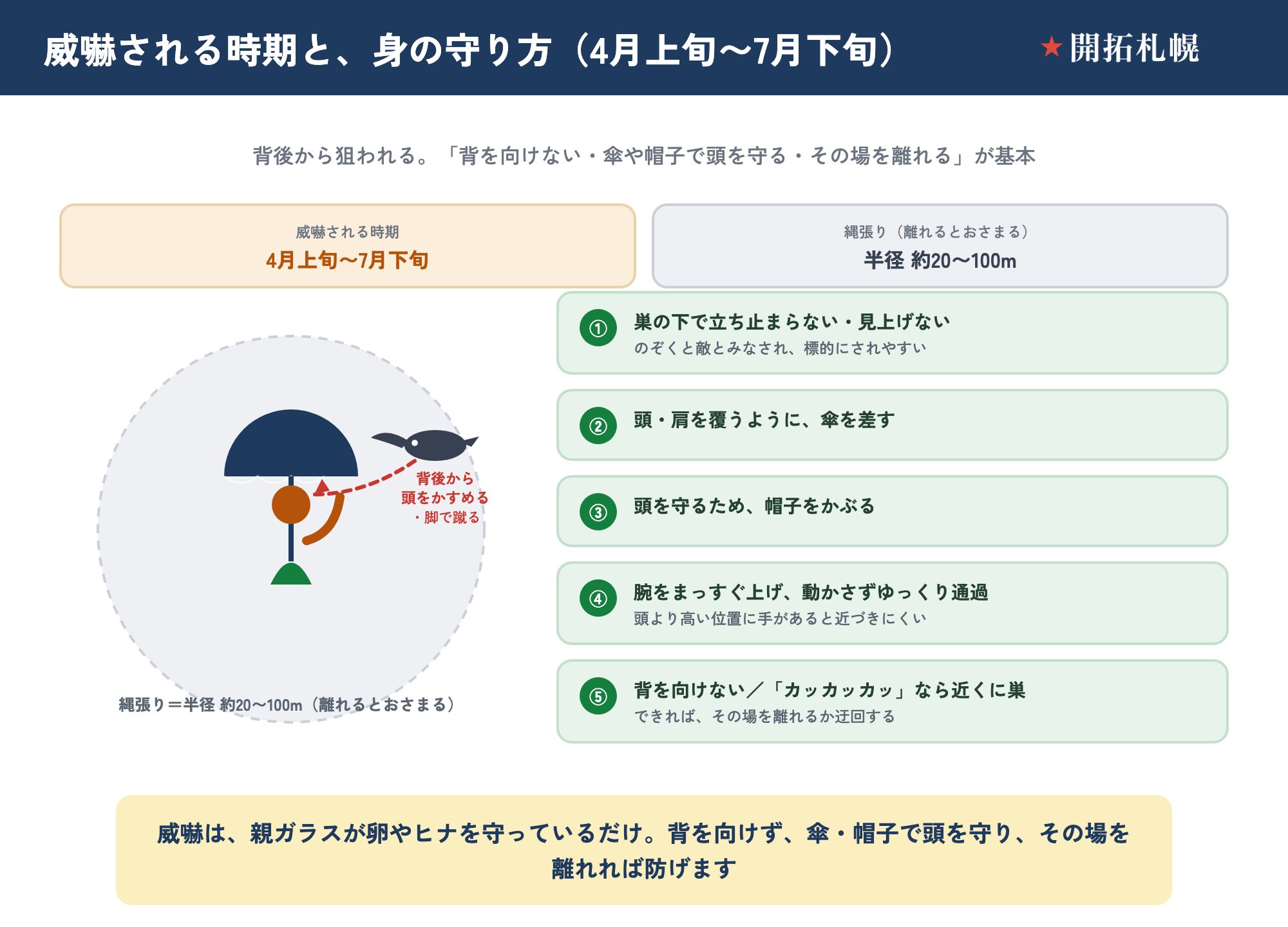 カラスに威嚇されたときの身の守り方を示す図。威嚇される時期は4月上旬から7月下旬（子育て期）で、縄張りは半径約20〜100メートル、そこから離れると威嚇はおさまる。カラスは背後（後方低空）から飛んできて頭をかすめたり、脚で後頭部を蹴ったりする（くちばしでつつくのではなく足で蹴る）。守り方は、①巣の下で立ち止まらない・見上げない（のぞくと敵とみなされ標的にされやすい）、②頭・肩を覆うように傘を差す、③頭を守るため帽子をかぶる、④腕をまっすぐ上げて動かさずゆっくり通過する（頭より高い位置に手があると近づきにくい）、⑤背を向けない、「カッカッカッ」と鳴いていたら近くに巣があるのでできればその場を離れるか迂回する。威嚇は親ガラスが卵やヒナを守っているだけで、子育ての時期だけ。出典は札幌市と苫小牧市の案内。
