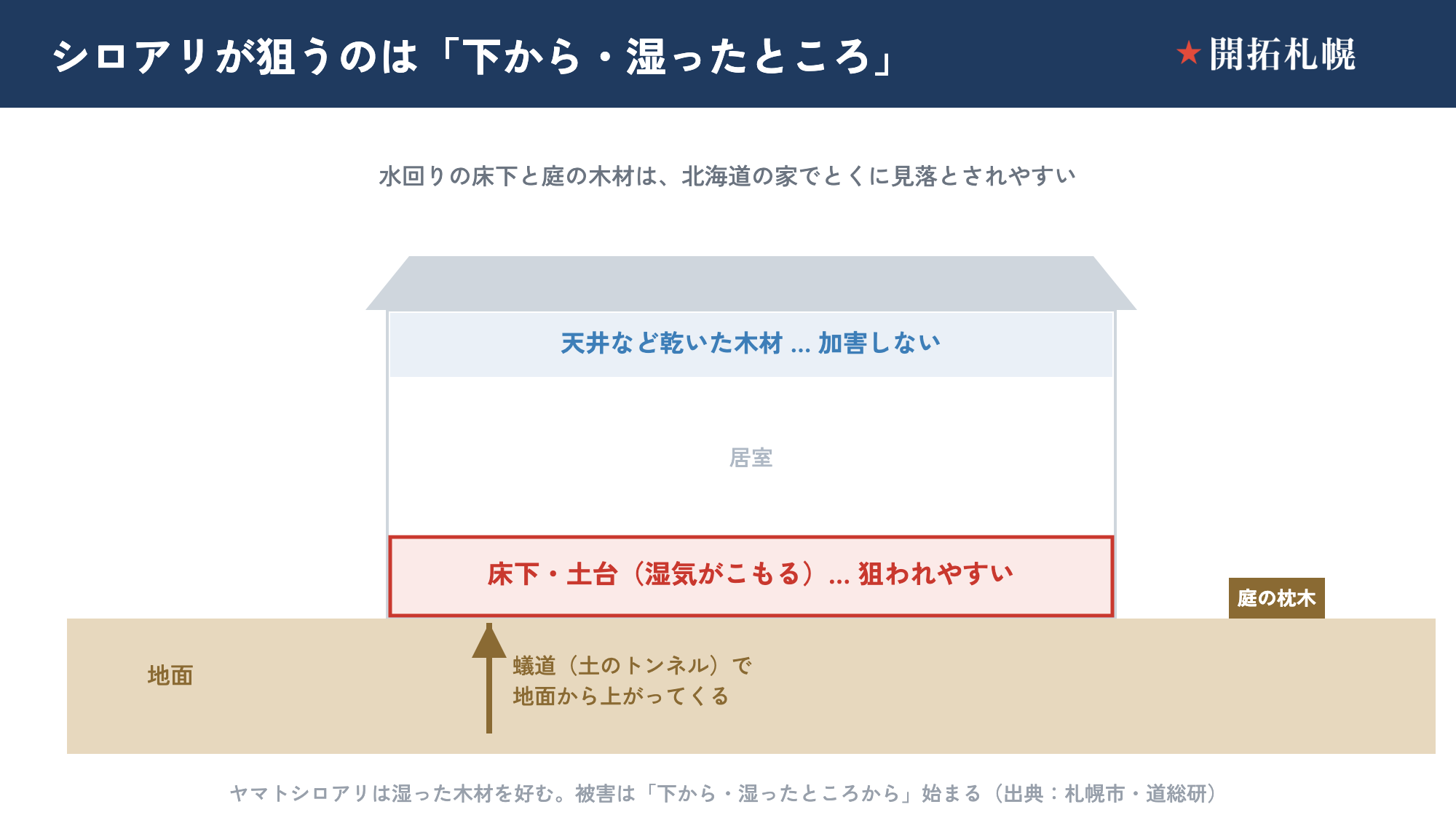 シロアリに狙われやすいのは浴室・台所の床下や土台。乾いた天井は加害しない