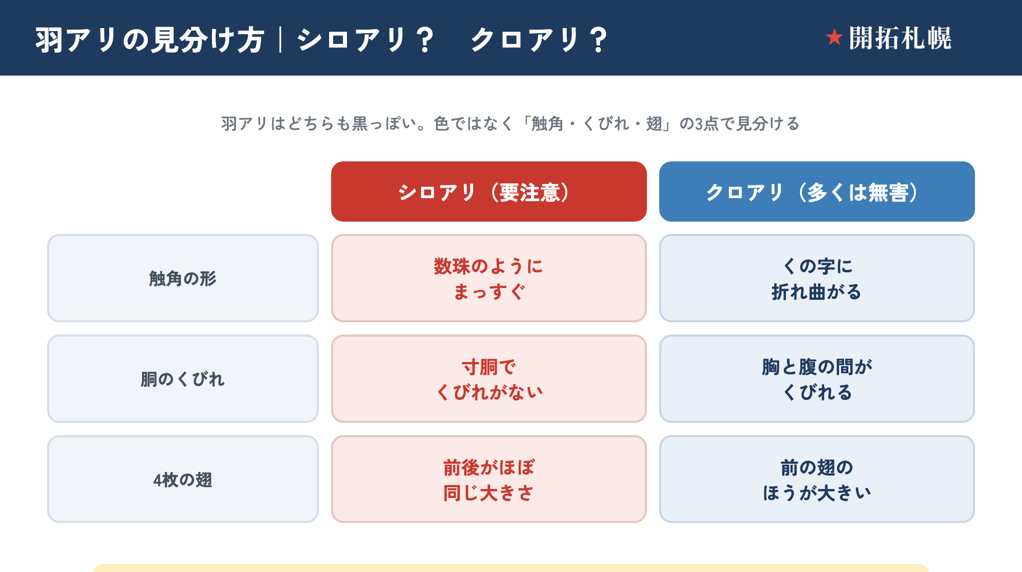 羽アリのシロアリとクロアリの見分け方。触角・胴のくびれ・4枚の翅の3点で見分ける