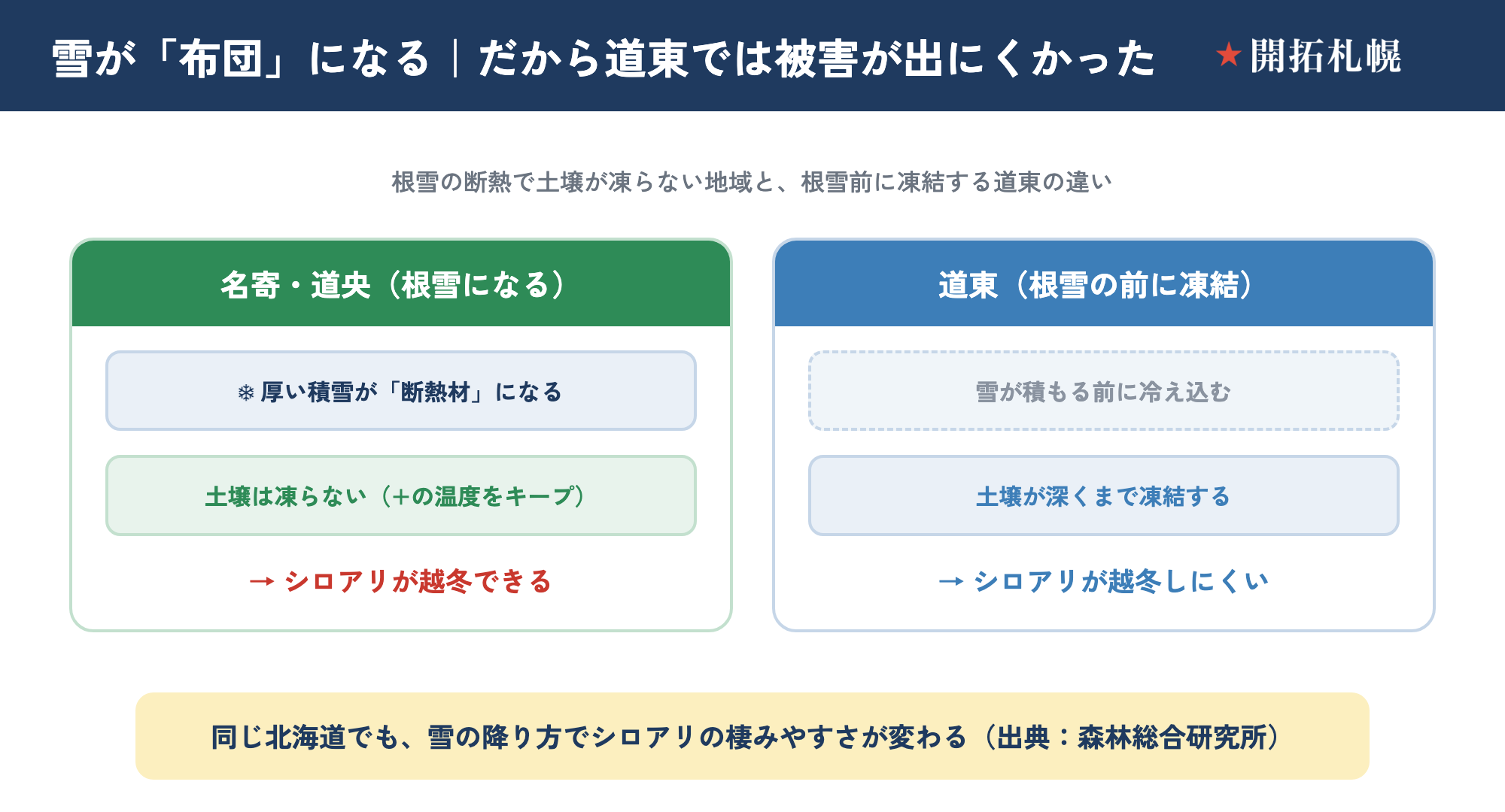 根雪の断熱で土壌が凍らない名寄・道央と、根雪前に凍結する道東の違い