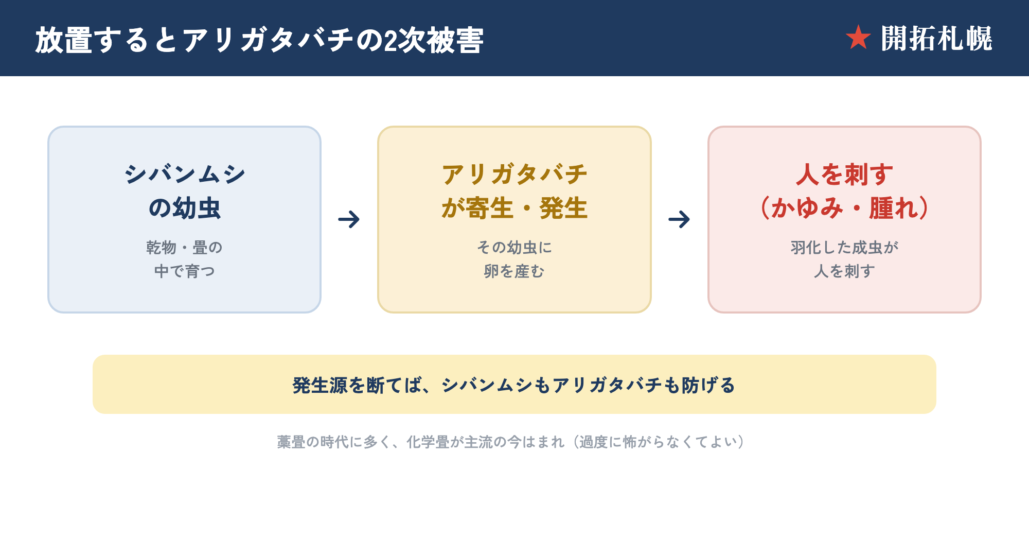 シバンムシを放置するとアリガタバチが寄生し人を刺す2次被害