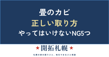 畳のカビの取り方｜自分で落とす手順とやってはいけないNG・再発防止まで【北海道・札幌】