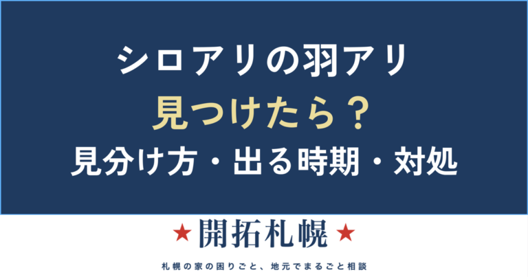 シロアリの羽アリを見つけたら｜見分け方・北海道の時期・対処｜開拓札幌