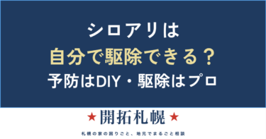 シロアリは自分で駆除・予防できる？市販薬剤の限界と自分でできる予防【北海道・札幌】