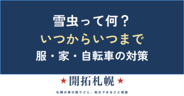 雪虫とは？いつまで飛ぶ？札幌の生活対策と「駆除しない」向き合い方